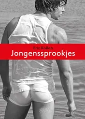 Omslag van Jongenssprookjes