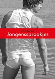 Omslag van Jongenssprookjes