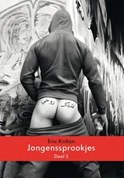 Omslag van 3
