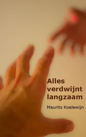 Omslag van Alles verdwijnt langzaam