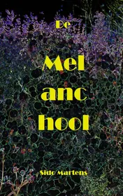 Omslag van De Melanchool