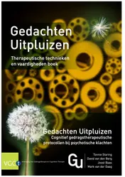 Omslag van Gedachten uitpluizen, therapeutische technieken en vaardigheden boek