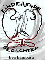 Omslag van Zinderende gedachten