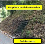 Omslag van Het geheim van de Hulster wallen