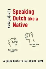 Omslag van Speaking Dutch Like a Native
