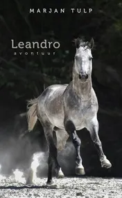 Omslag van Leandro