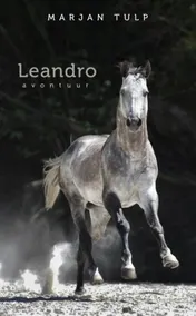 Omslag van Leandro