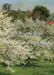 Omslag van Het buiten van Wijk