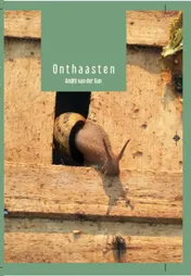 Omslag van Onthaasten