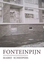 Omslag van Fonteinpijn