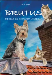 Omslag van Brutus