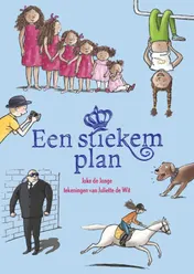 Omslag van Een stiekem plan