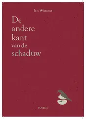 Omslag van De andere kant van de schaduw