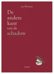 Omslag van De andere kant van de schaduw