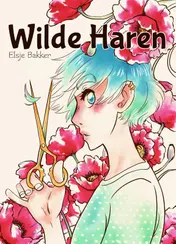 Omslag van Wilde Haren