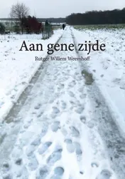 Omslag van Aan gene zijde