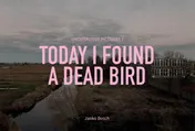 Omslag van Today I found a dead bird