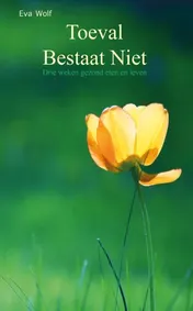 Omslag van Toeval bestaat niet