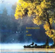 Omslag van Intermezzo in visio