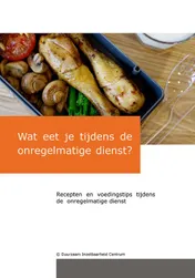 Omslag van Werken in de onregelmatige dienst