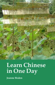 Omslag van Learn Chinese in One Day