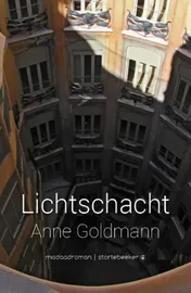 Omslag van Lichtschacht