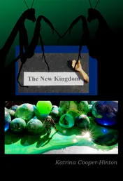 Omslag van The New Kingdom