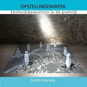 Omslag van Opstellingenwerk