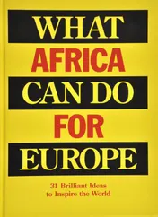 Omslag van What Africa can do for Europe