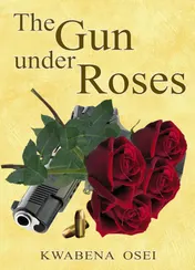 Omslag van The gun under roses