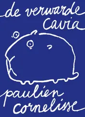 Omslag van De verwarde cavia