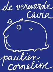 Omslag van De verwarde cavia