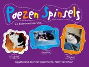 Omslag van Poezen Spinsels