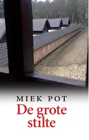 Omslag van De grote stilte