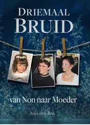 Omslag van Driemaal Bruid