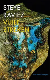 Omslag van Vuile streken
