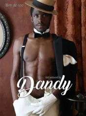 Omslag van Get seduced by Dandy
