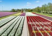 Omslag van Noordoostpolder 75 jaar droog