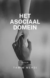 Omslag van Het asociaal domein