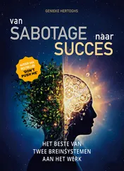 Omslag van Van Sabotage naar Succes