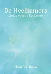Omslag van De heelkamers