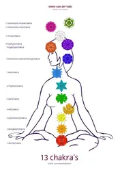 Omslag van 13 Chakra's