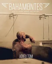 Omslag van 17 Adieu Tom