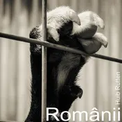 Omslag van Romanii