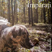 Omslag van Imparati