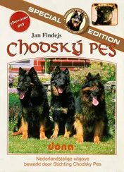 Omslag van Chodsky Pes