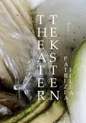 Omslag van Theaterteksten
