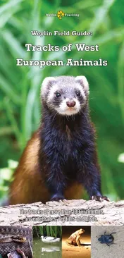Omslag van Weylin Field Guide: Tracks of West European Animals