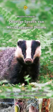 Omslag van Weylin Veldgids: Overige Sporen van West-Europese Dieren