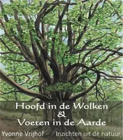 Omslag van Hoofd in de wolken, voeten in de aarde